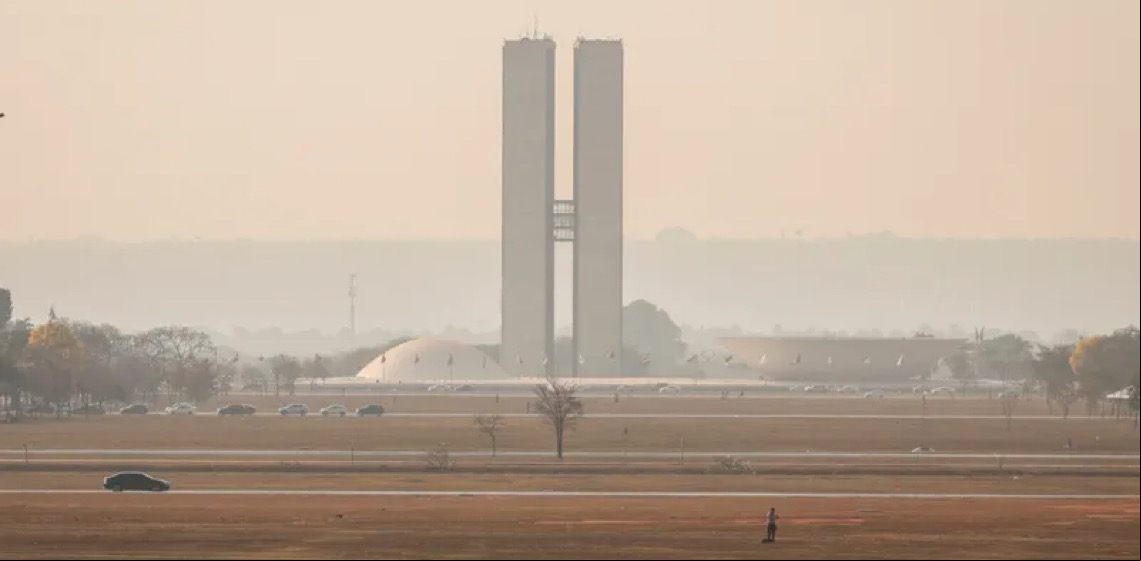 Queda no desmatamento e política contraditória: balanço da agenda climática em 2024