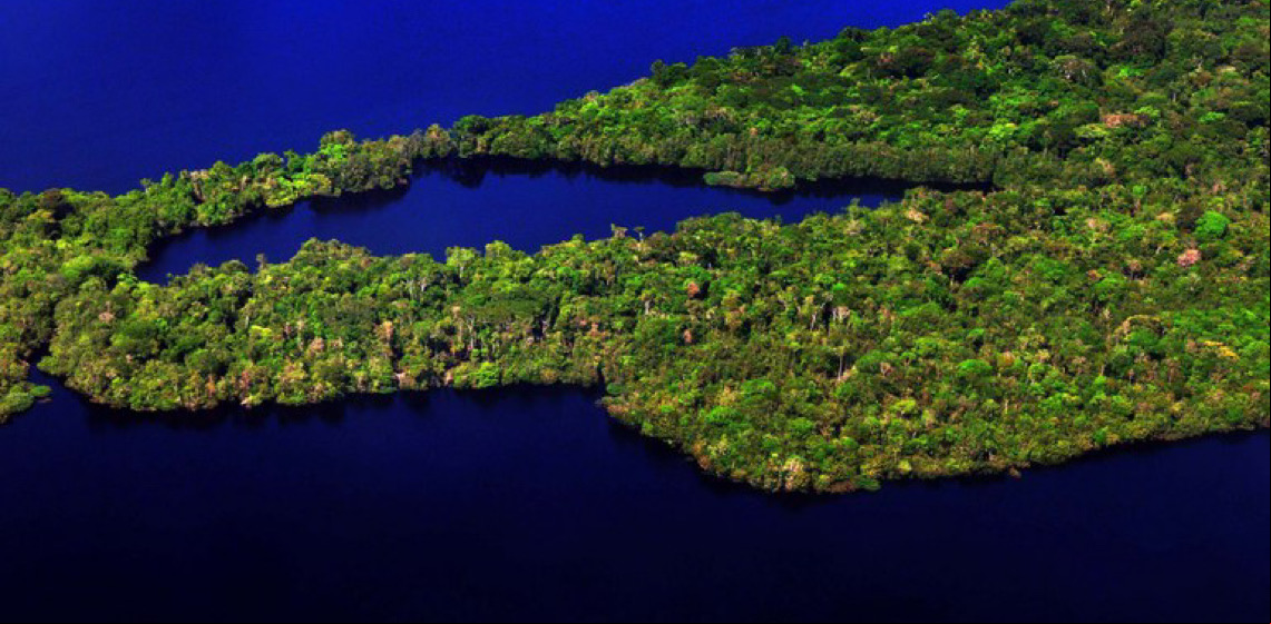 Prêmio Braztoa de Sustentabilidade 2025 abre inscrições com novidades e destaque na Amazônia