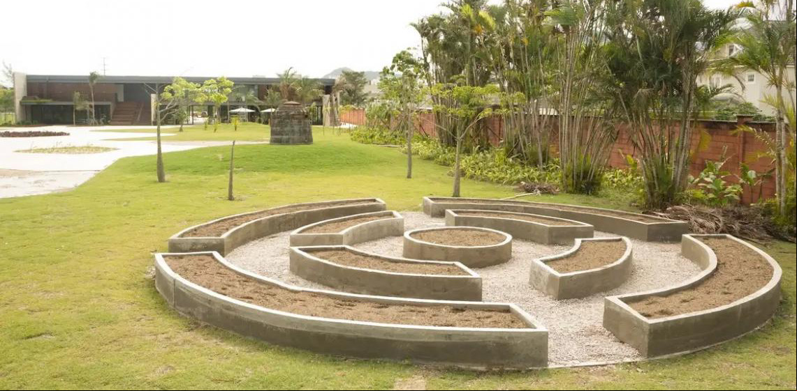 Museu do Pontal lança programação voltada à conscientização ambiental