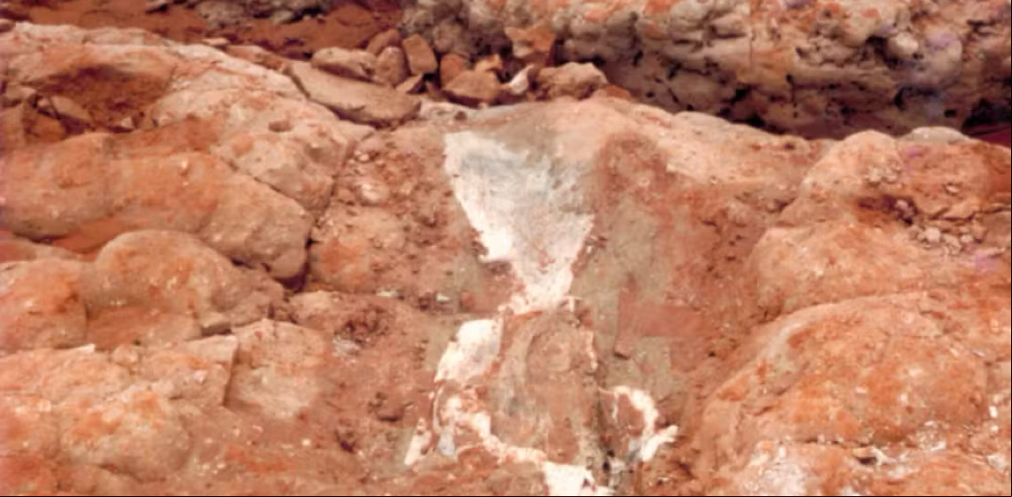Pesquisadores encontram fósseis de dinossauros na Chapada dos Guimarães