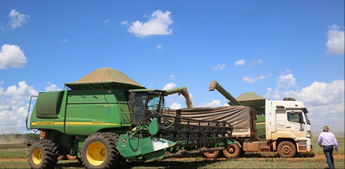 Brasil prevê safra recorde em 2025, com aumento da produção e expansão da área cultivada