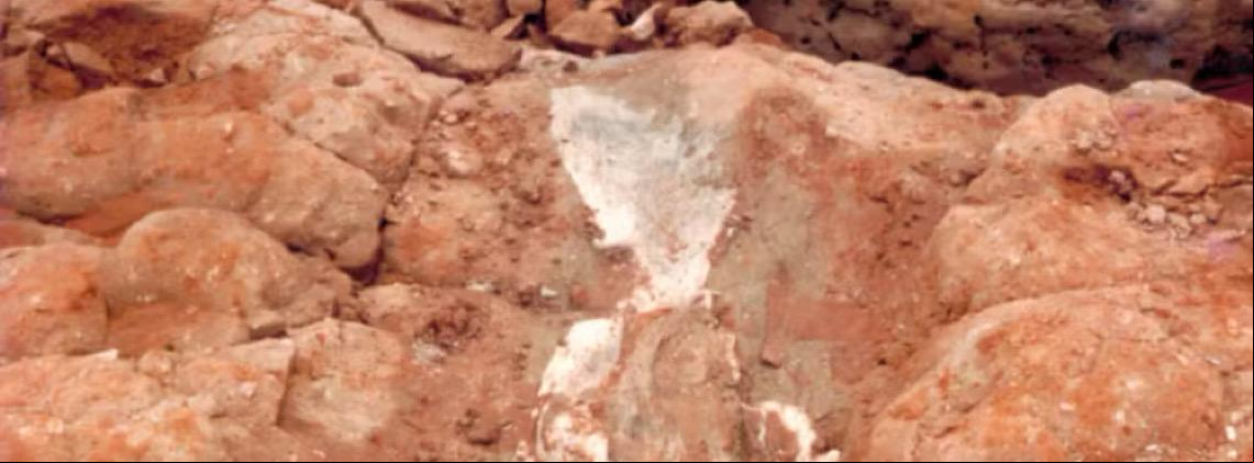 Pesquisadores encontram fósseis de dinossauros na Chapada dos Guimarães